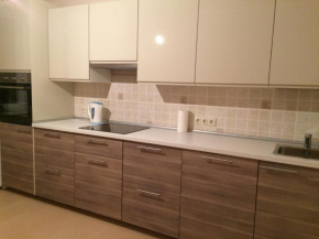Apartment Vizit, Vidnoye